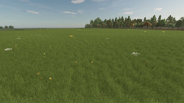 FS25 - Grass with Dandelions and Daisies V1.0