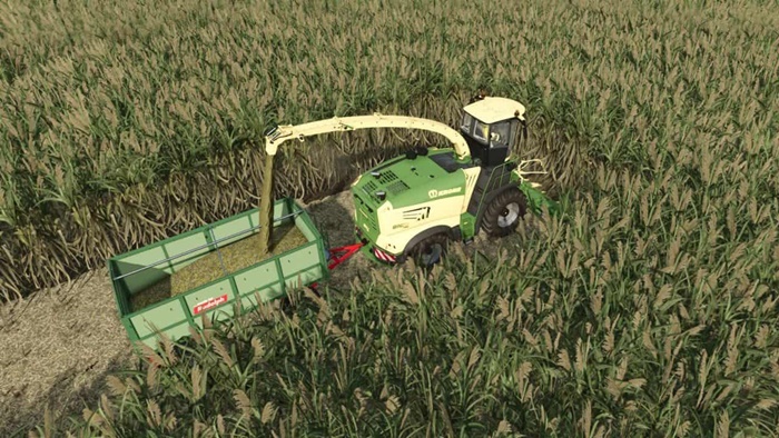 FS25 - Collect900 For Sugarcane And Poplar V1.0.0.1