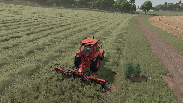 FS25 - Vicon Fanex 604 V1.0