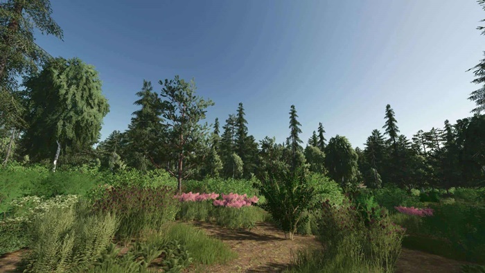 FS25 - Forest Valley Map V1.0