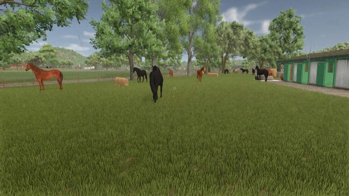 FS25 - Auto Horse Care V1.0