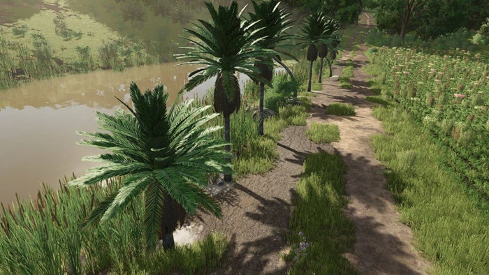 FS25 - Coconut Trees V1.0