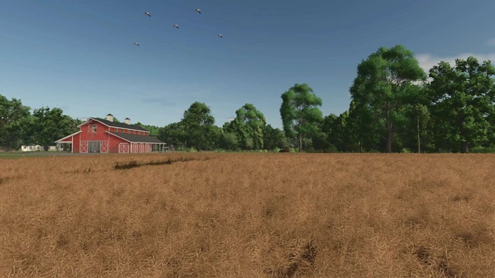 FS25 - PlayerCam V1.0