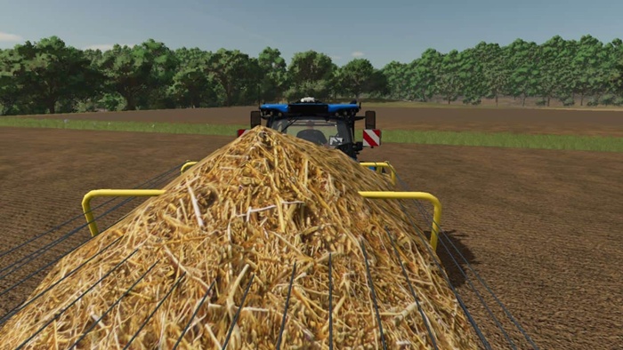 FS25 - Realistic Straw Texture V1.0