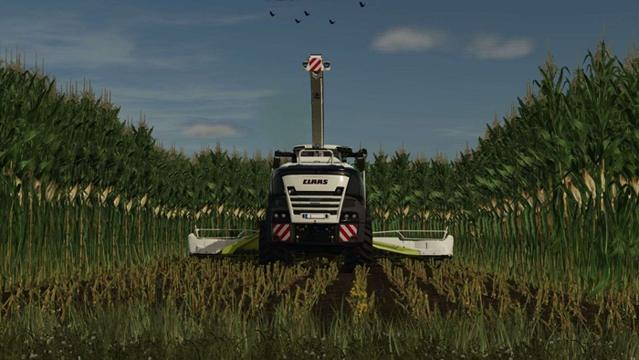 FS25 - Maize Texture Height Changed V1.0