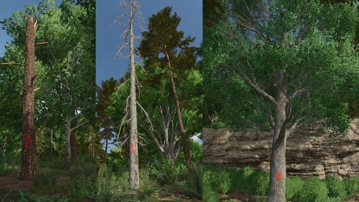 FS25 - Advanced Deadwood Missions V1.0