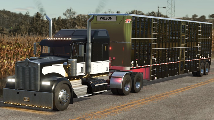 FS25 - Lizard W900 B V1.1