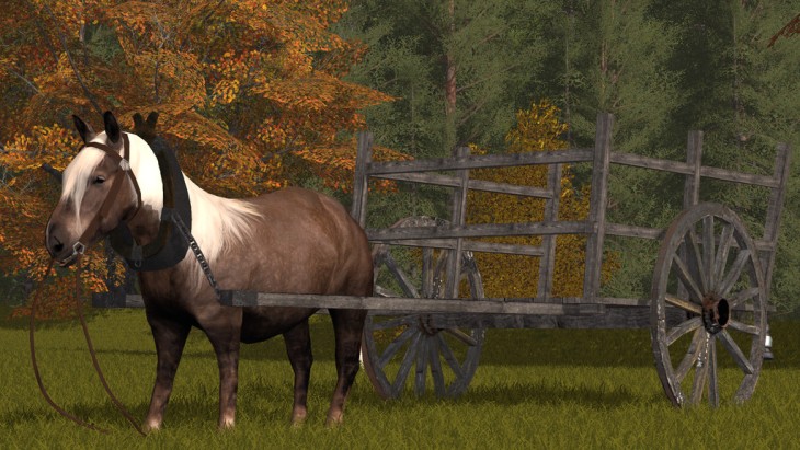 FS17 - Rideable Pony V1.0