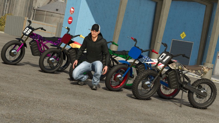 FS25 - Lizard DT-E V1.0