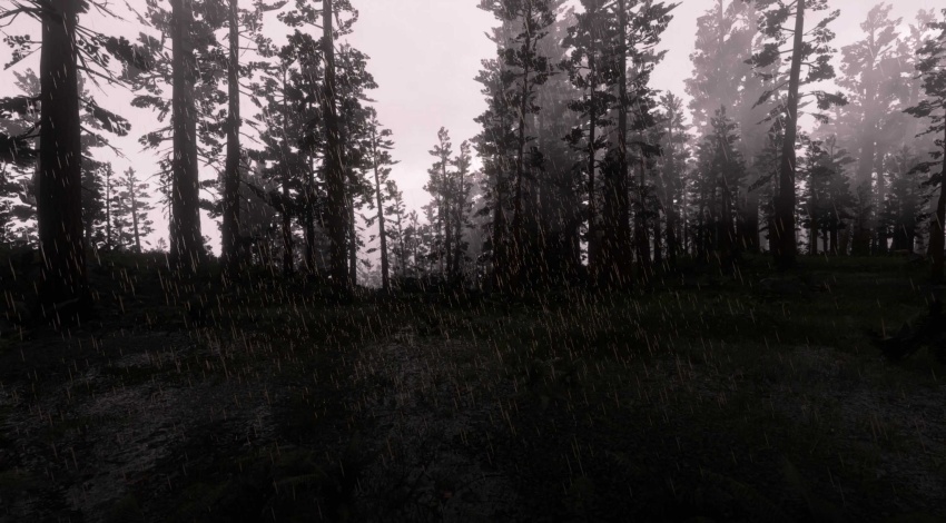 RDR2 - Rain Particles Fix