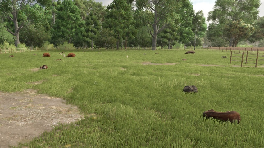 FS25 - Automatic Drinking Trough V1.0