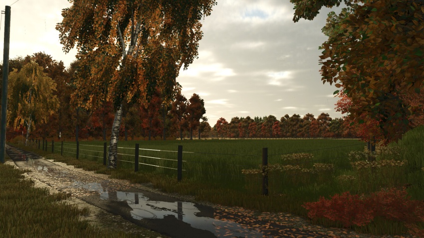 FS25 - Diepholz 25 Map V1.0