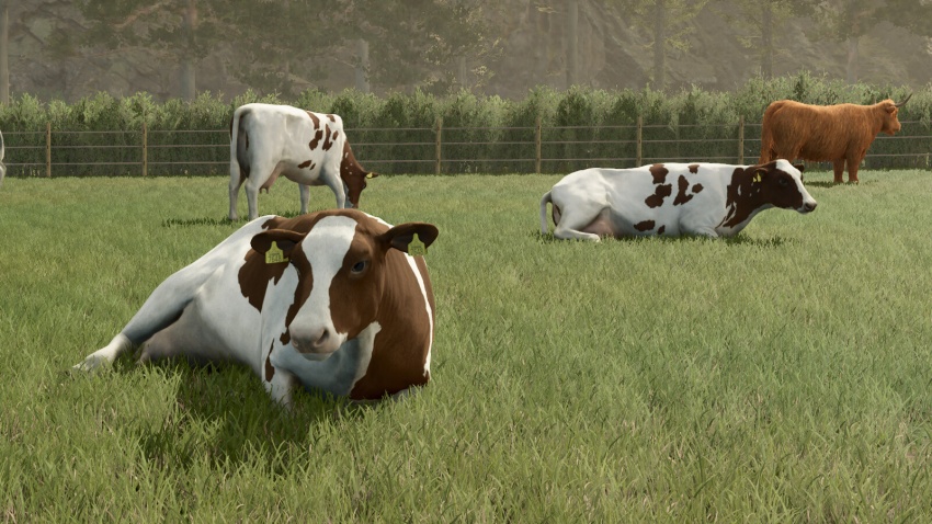 FS25 - Animal Package Vanilla Edition V1.0.2.1