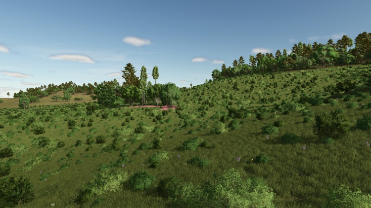 Survival4X Map V1.1