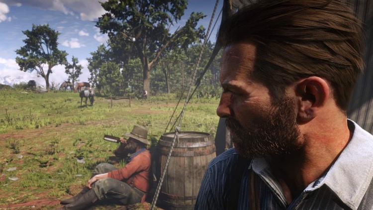 New West Reshade