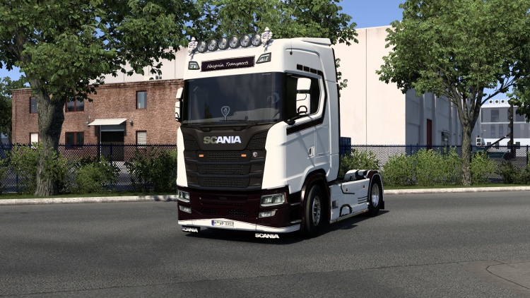 Scania S Hacguin Skin V1.0