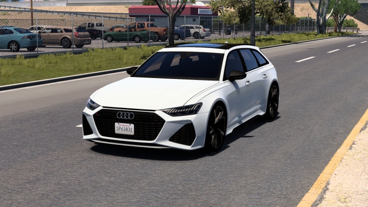Audi RS6 Avant C8 2020 V2.1