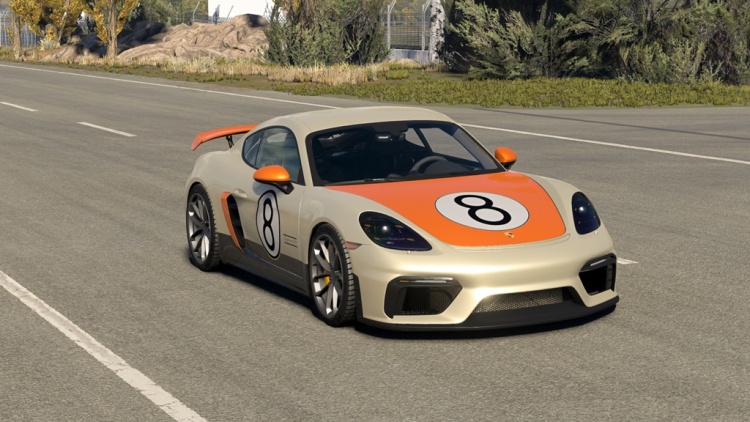 Porsche Cayman 718 & GT4 RS