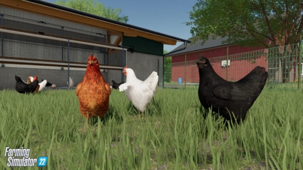 FS22 - Farm Animals & Wildlife: Trailer & Top 10 Reasons for Animal Husbandry