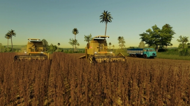 FS19 - Pioneiros Atoleiro e Animais V3.0
