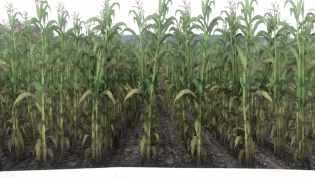 FS19 - Autumn Oaks: Dfmep The Crop Update V1.0.3.0