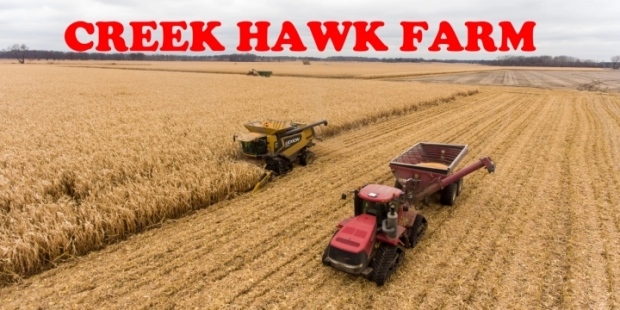 FS22 - CreekHawk Farm Map V1.0