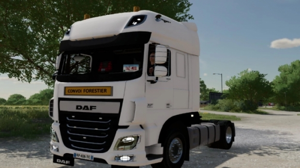 FS22 - DAF 460 Super Space Cab 4x2 V1.0