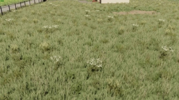 FS22 - Textures Meadow V1.0