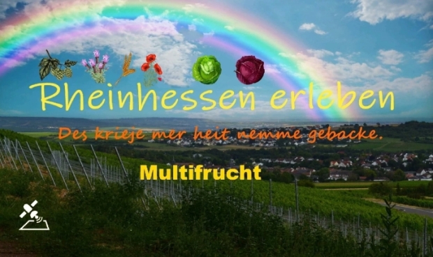FS22 - Rheinhessen Map V1.0.0.1