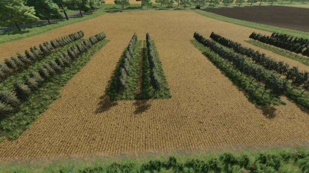 FS22 - Variable Olivevine Widths V1.0