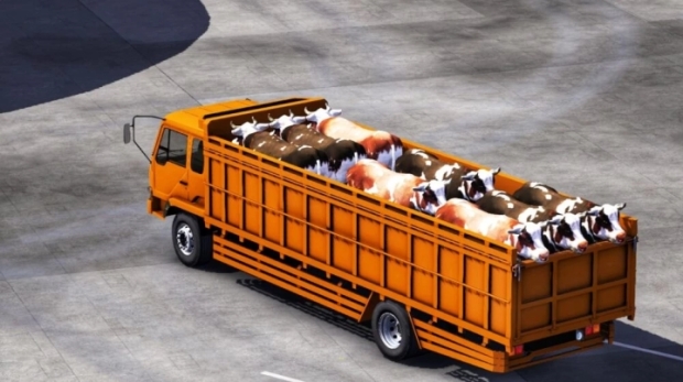 ETS2 - Mitsubishi Fuso Cattle Truck