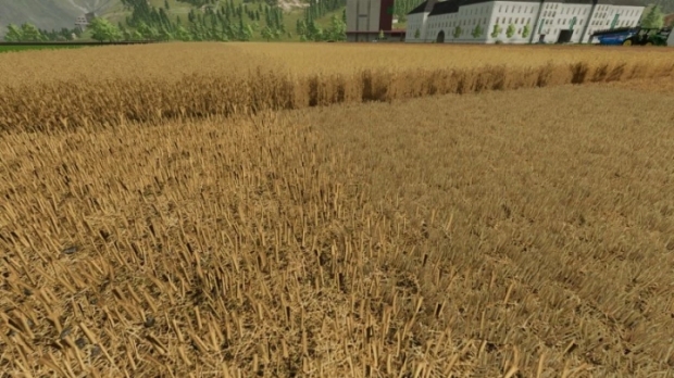 FS22 - Better Stubble Texture V1.0