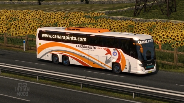 ETS2 - Indian Canara Pinto Skin Pack for Scania Touring v1.0