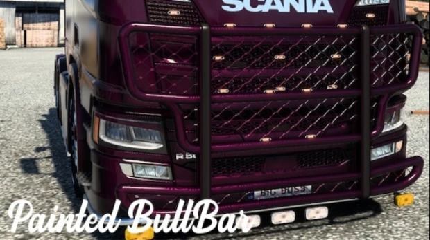 ETS2 - Painted Bull Bar