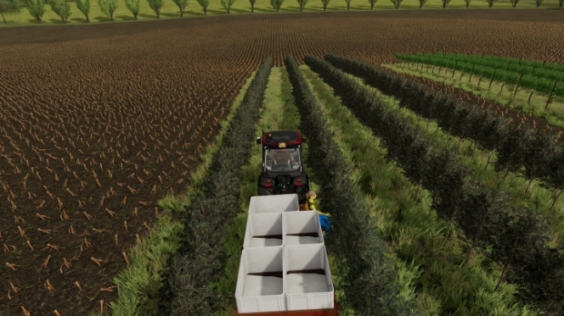 FS22 - Vine Hand Harvest Trailer V1.1