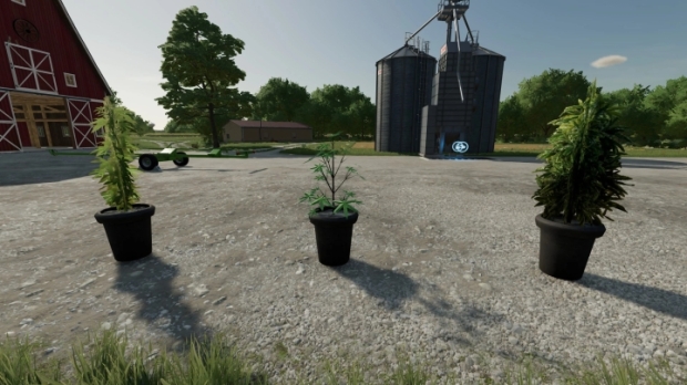 FS22 - Cannabis Plants Pack V1.0