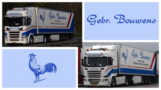 ETS2 - Combo Skin Gebr. Bouwens V1.0
