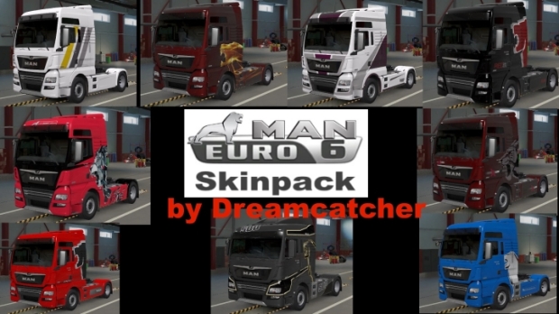 ETS2 - MAN TGX Euro6 Skins v1.0