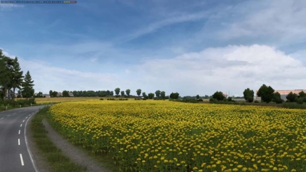 ETS2 - Grass Mod v2.64 [FULL]