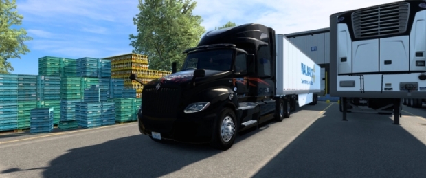 ATS - International LT Walmart Skin