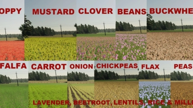 FS22 - Rogatki Edited (Multifruit and Production) V2.6.1