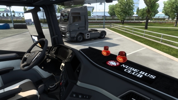 ETS2 - Interior Camera Man Tgx 2020
