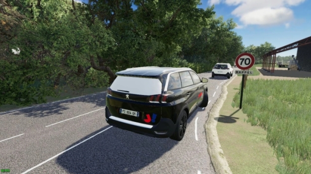FS19 - Peugeot 5008 Entreprises FR V1.0