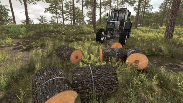 FS22 - Steyr 8165 Forestry Edition V1.2