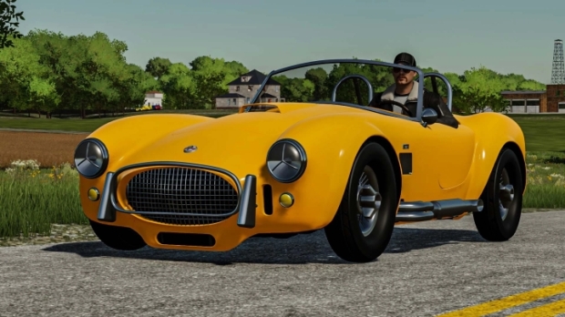 FS22 - Shelby Cobra V1.0