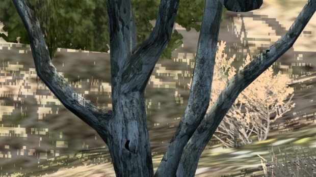 ATS - Ultra Zoom Photography
