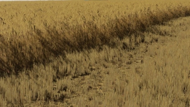 FS22 - Barley and Wheat Textures V1.0