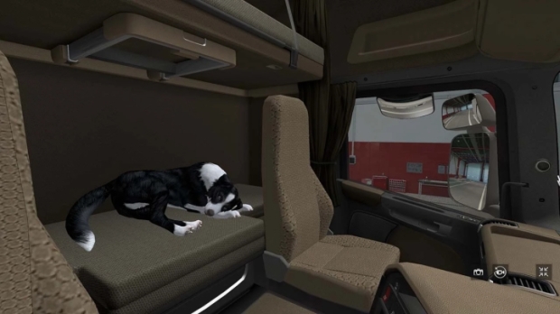 ETS2 - Dog with Animation V1.0.1