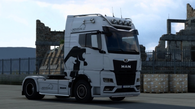 ETS2 - MAN TGX TG3 Individual Skin V1.0