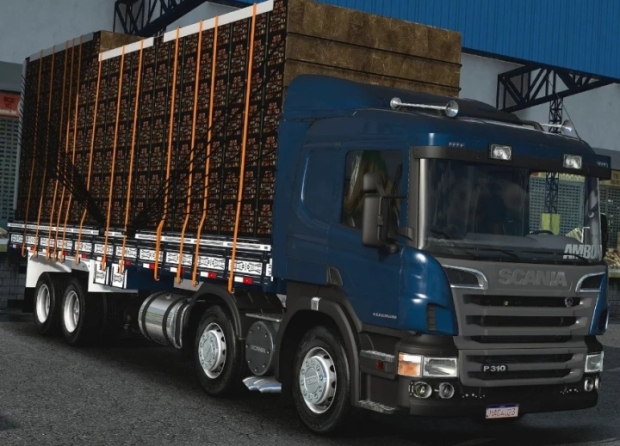 ETS2 - Scania P310 Serie 4/5 Macaulay V1.0